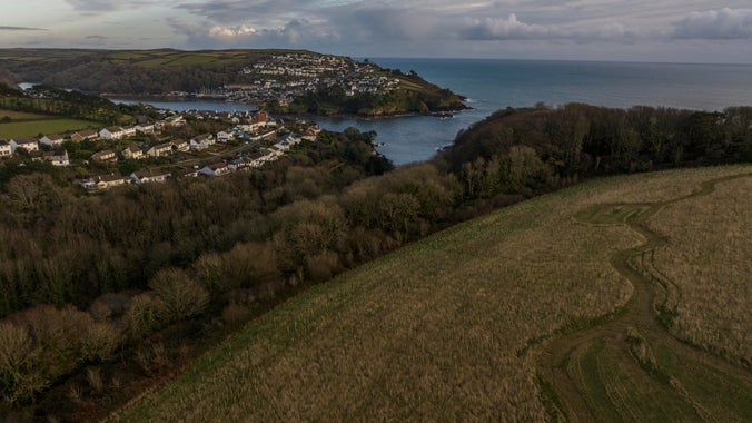 Coombe Farm tree planting area